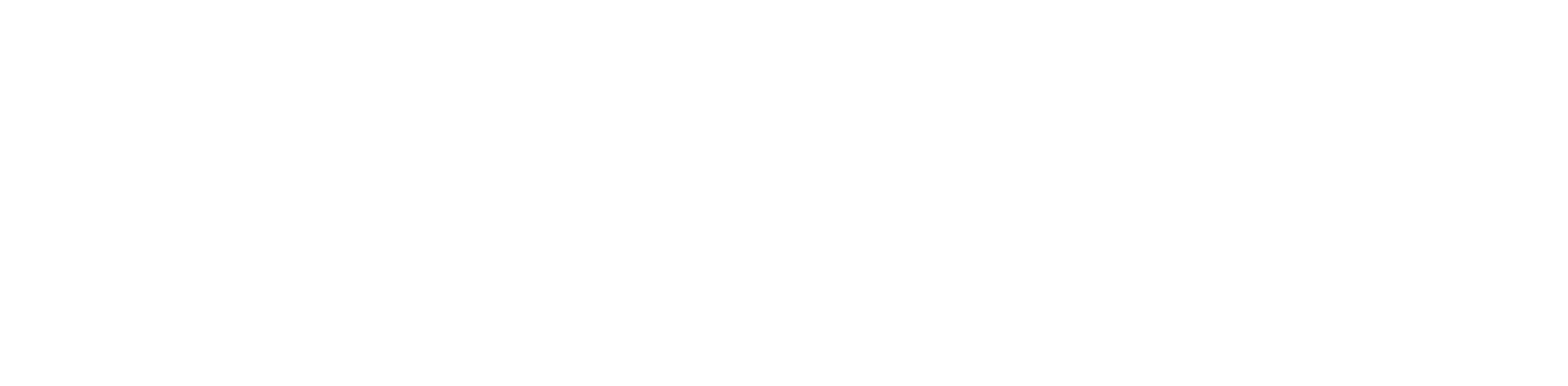 eMOBINO